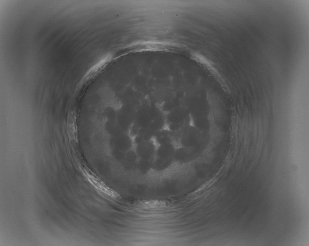 X0000080671403200612151145