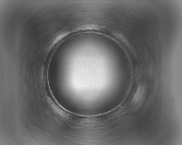 X0000080671404200612151145