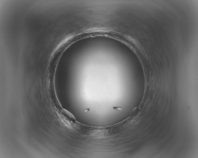X0000080671406200612151145