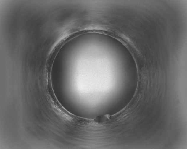 X0000080671408200612151145