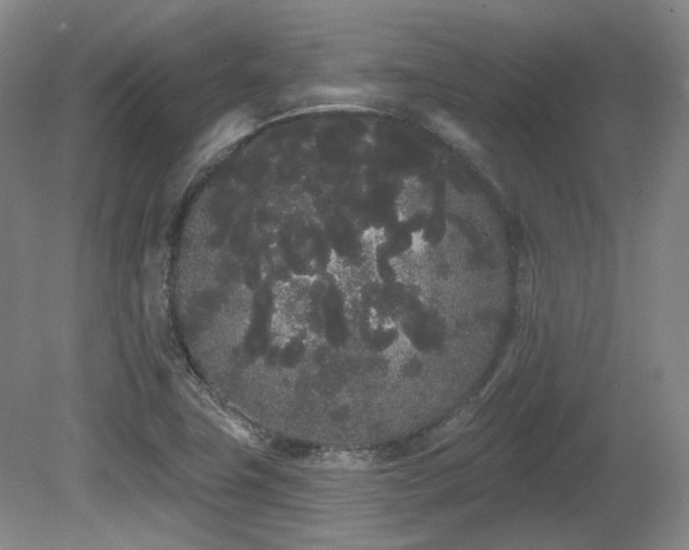 X0000080671411200612151145