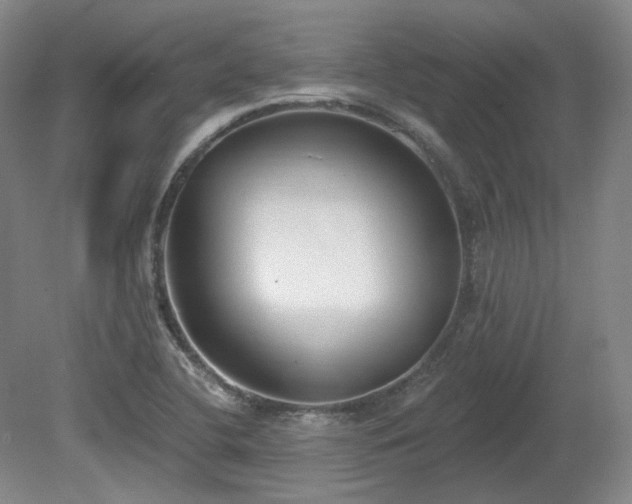 X0000080671412200612151145