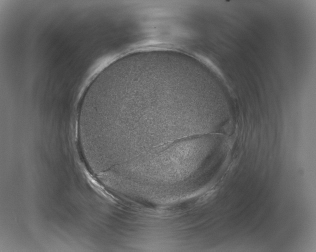 X0000080671413200612151145