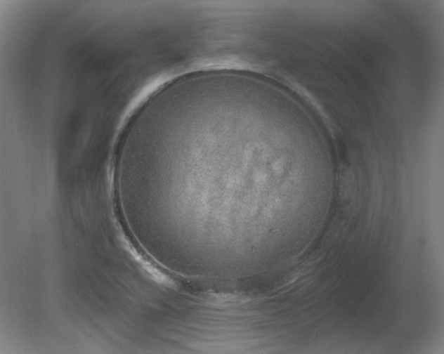 X0000080671416200612151145
