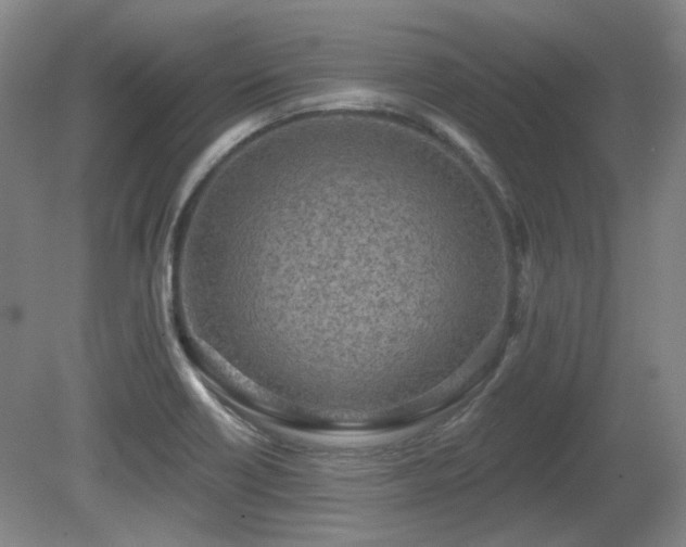X0000080671418200612151145