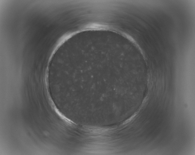 X0000080671421200612151145