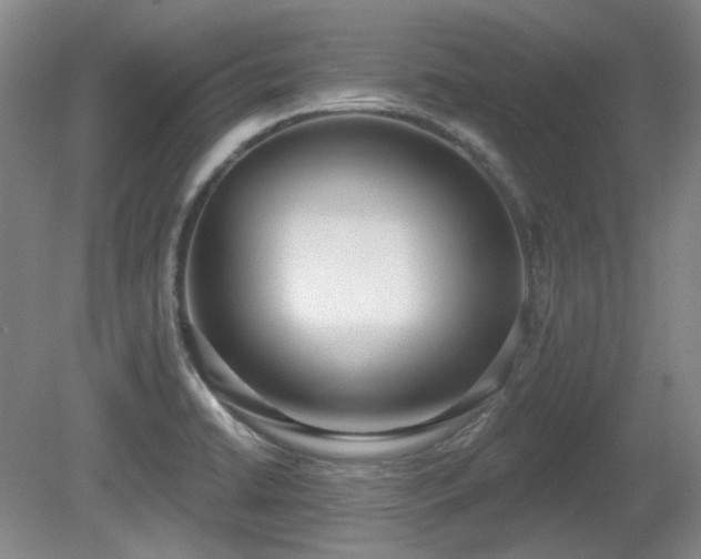 X0000080671422200612151145