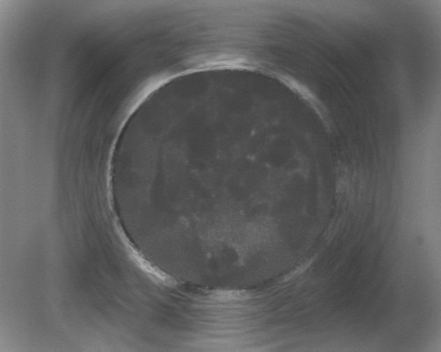 X0000080671423200612151145