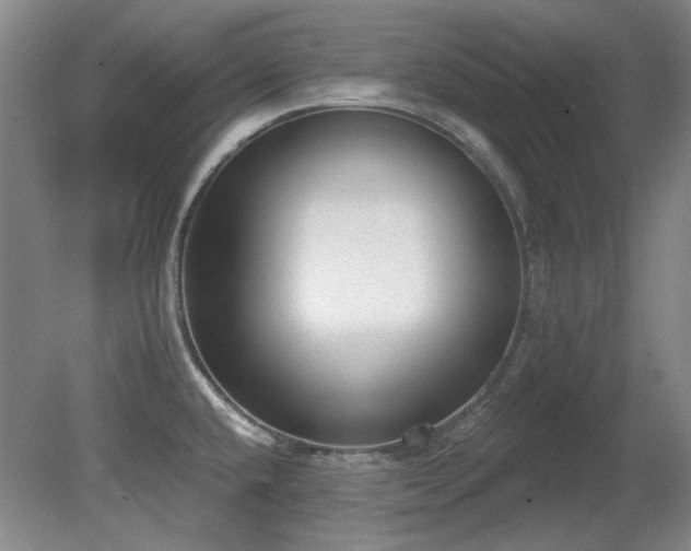 X0000080671432200612151145