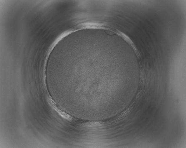 X0000080671435200612151145