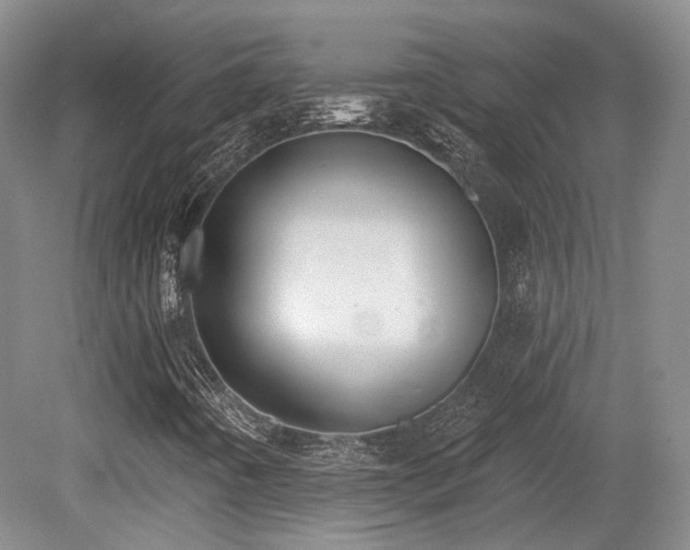 X0000080671442200612151145