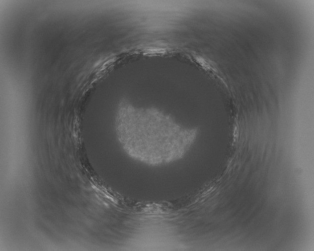 X0000080671445200612151144