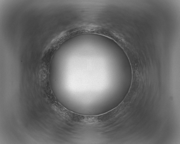 X0000080671447200612151144