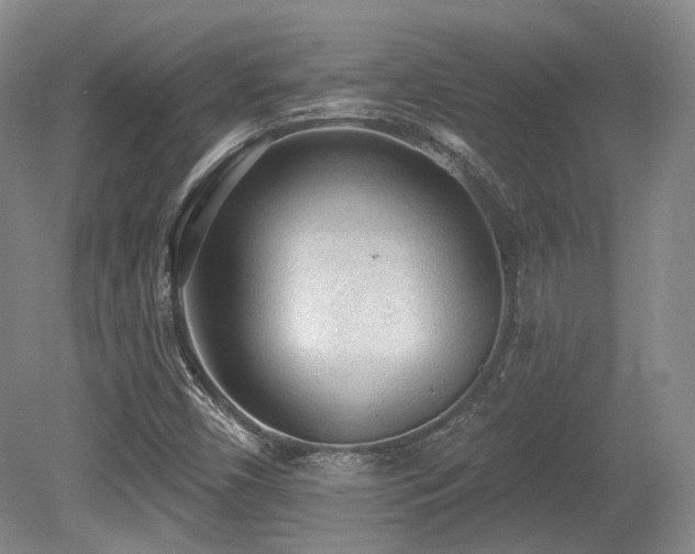 X0000080671450200612151144