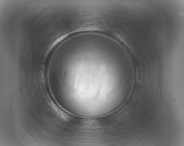 X0000080671452200612151144