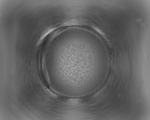 X0000080671453200612151144