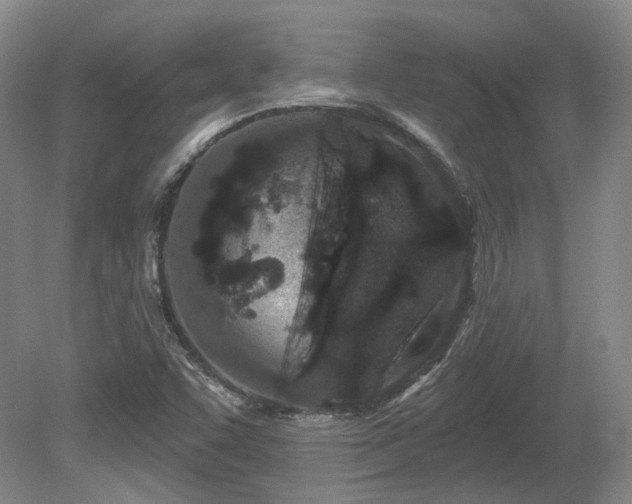 X0000080671455200612151144