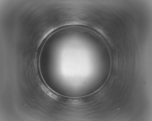 X0000080671460200612151144