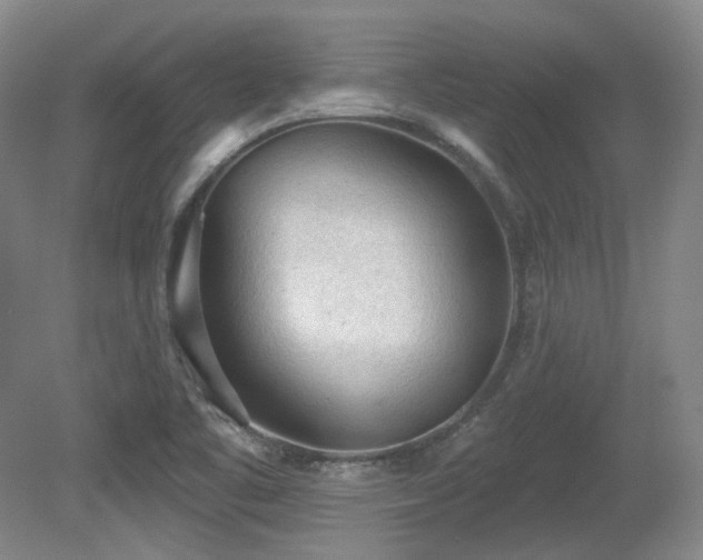 X0000080671461200612151144