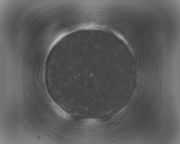 X0000080671463200612151144