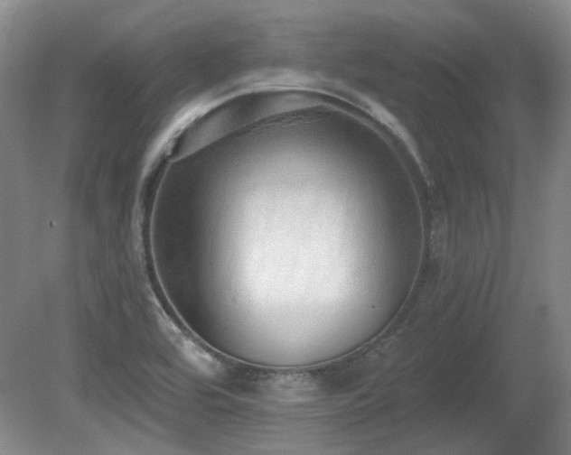 X0000080671464200612151144
