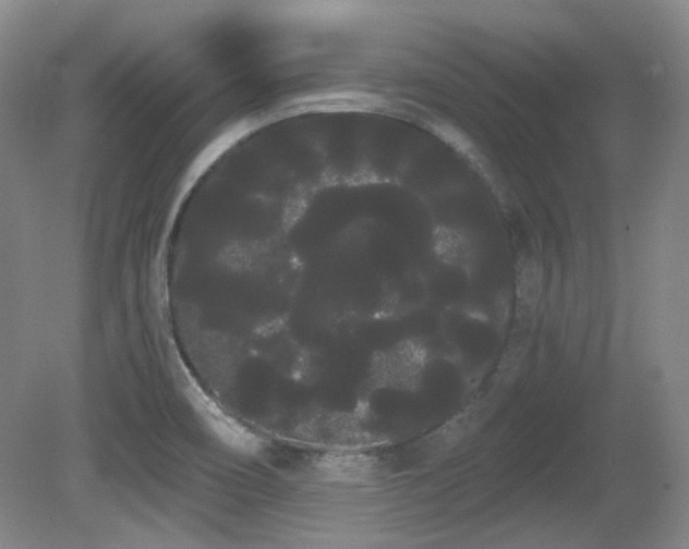 X0000080671466200612151144