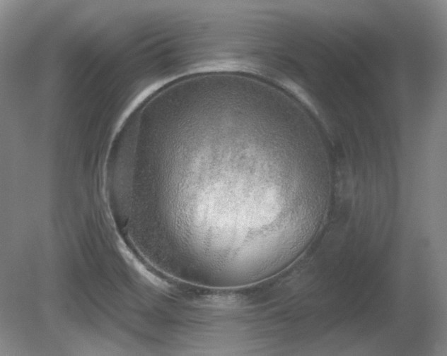 X0000080671468200612151144