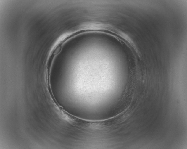 X0000080671472200612151144