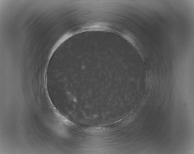 X0000080671474200612151144