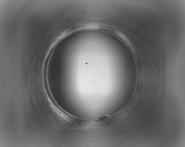 X0000080671475200612151144