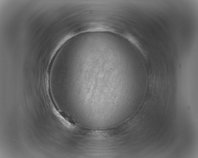 X0000080671476200612151144