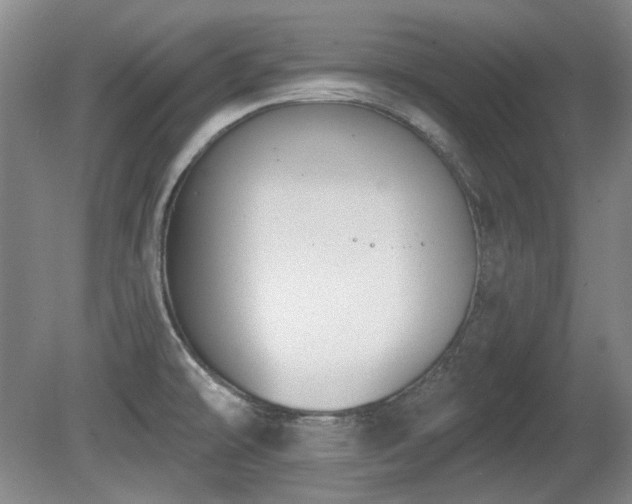 X0000080671478200612151144
