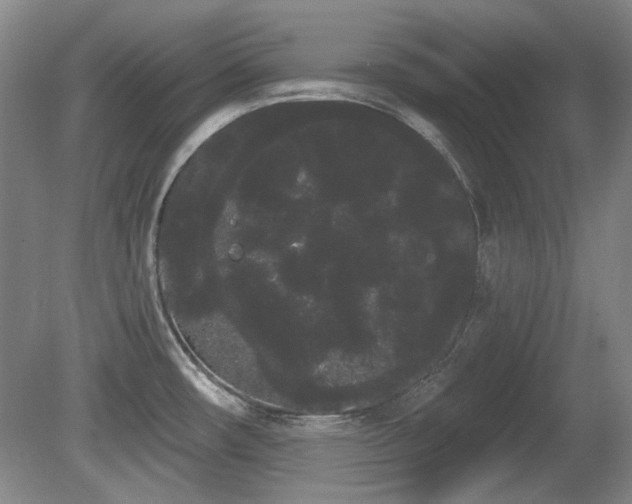 X0000080671482200612151144