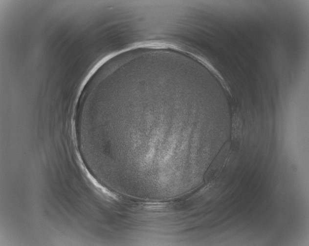 X0000080671484200612151144
