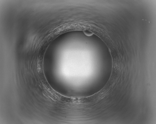X0000080671490200612151143