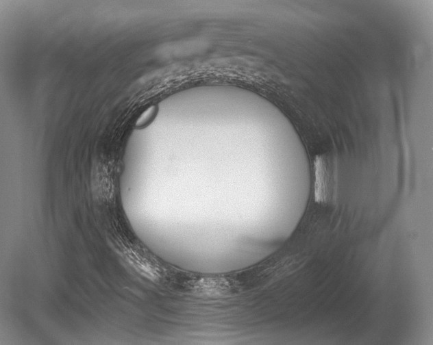 X0000080671491200612151143