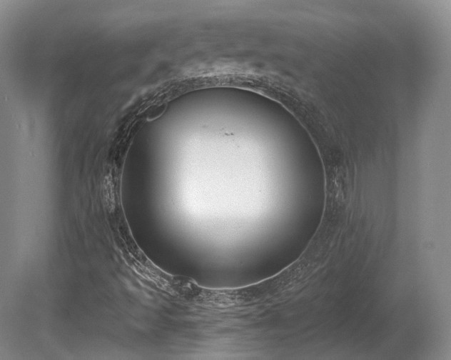 X0000080671493200612151143