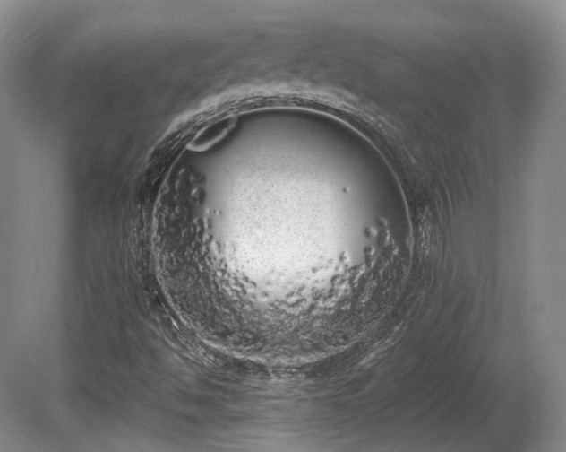 X0000080671494200612151143