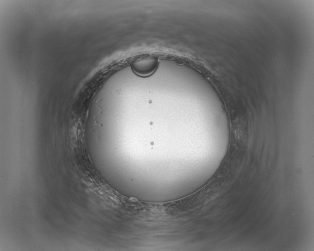 X0000080671495200612151143