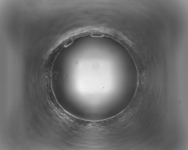 X0000080671496200612151143