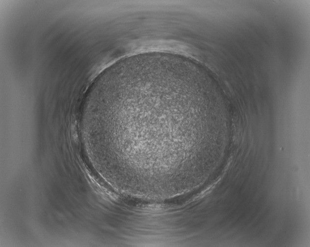 X0000080671497200612151143