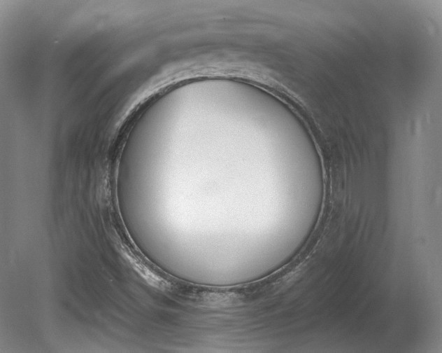 X0000080671498200612151143