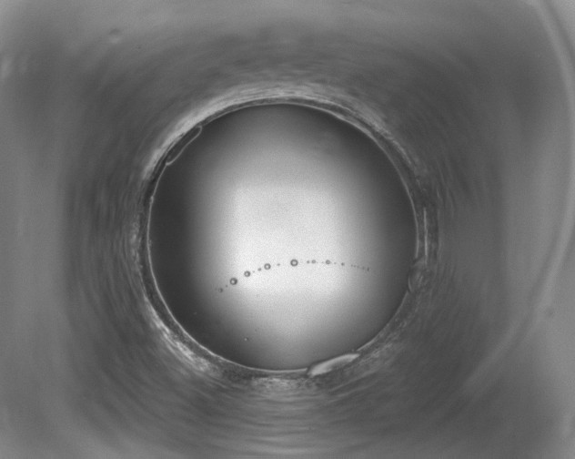 X0000080671500200612151143