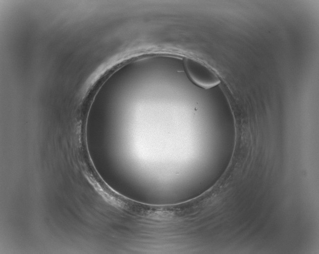 X0000080671503200612151143