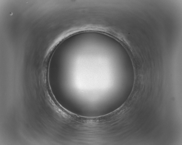 X0000080671504200612151143