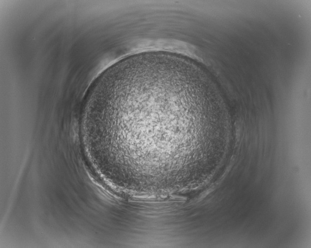 X0000080671505200612151143