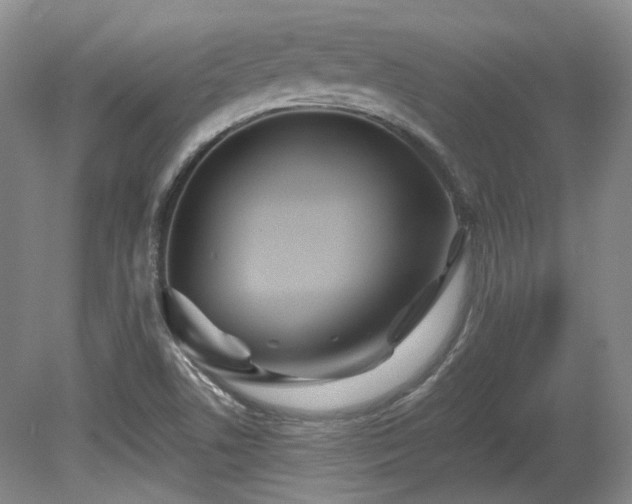 X0000080671506200612151143