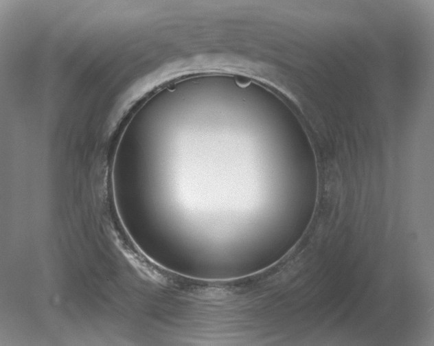 X0000080671507200612151143