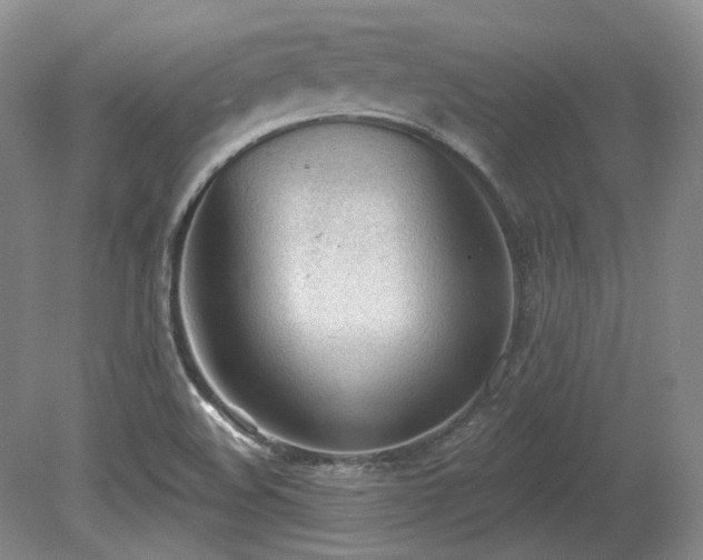 X0000080671508200612151143