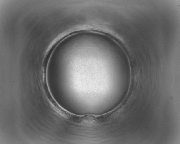 X0000080671509200612151143